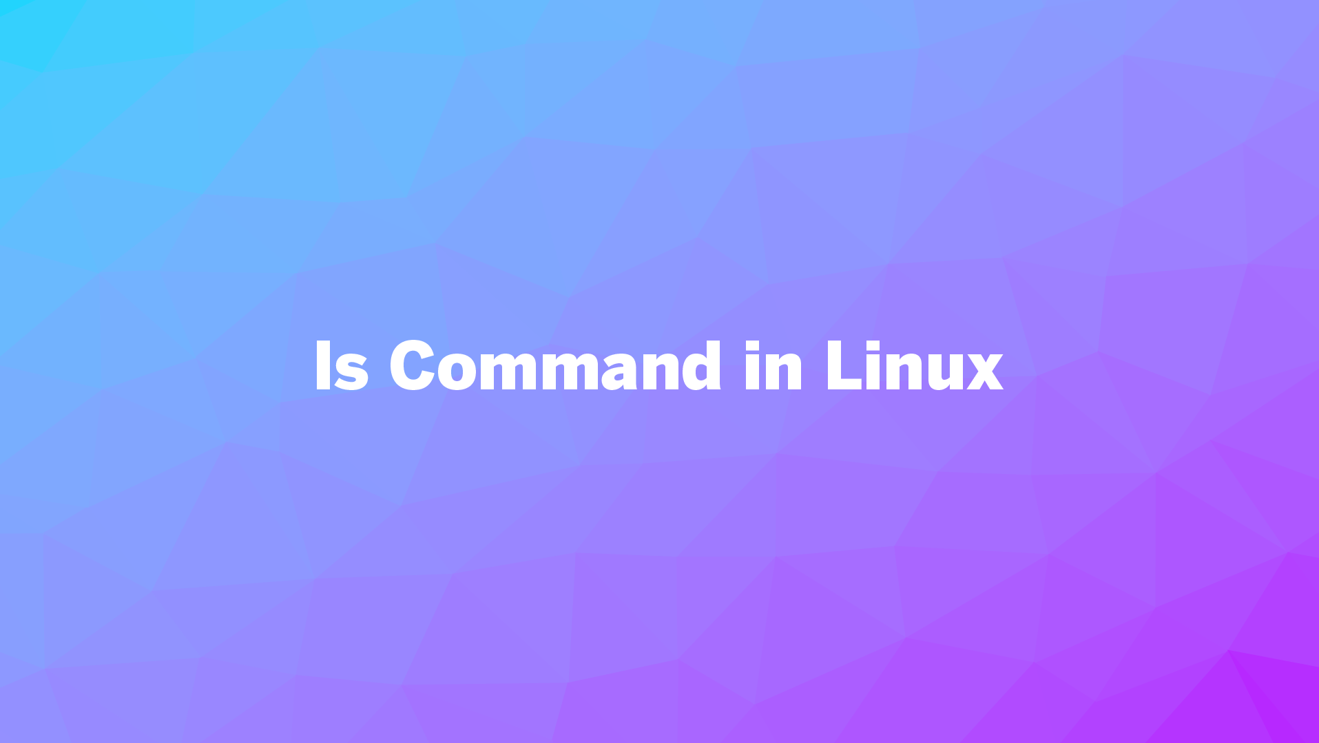 Ls Command In Linux Comprehensive Guides With Practical Examples Linovox