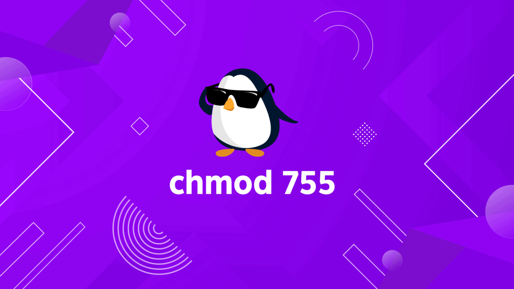 what-does-chmod-755-command-mean-and-when-should-you-use-it-linovox