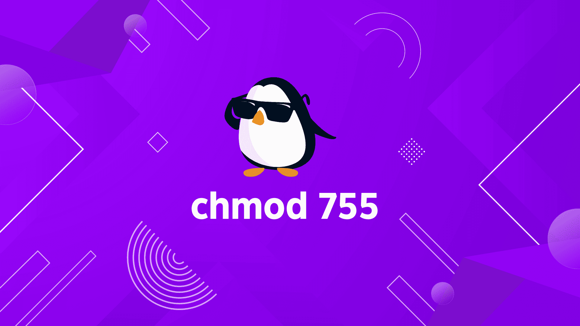 chmod 755 command in Linux