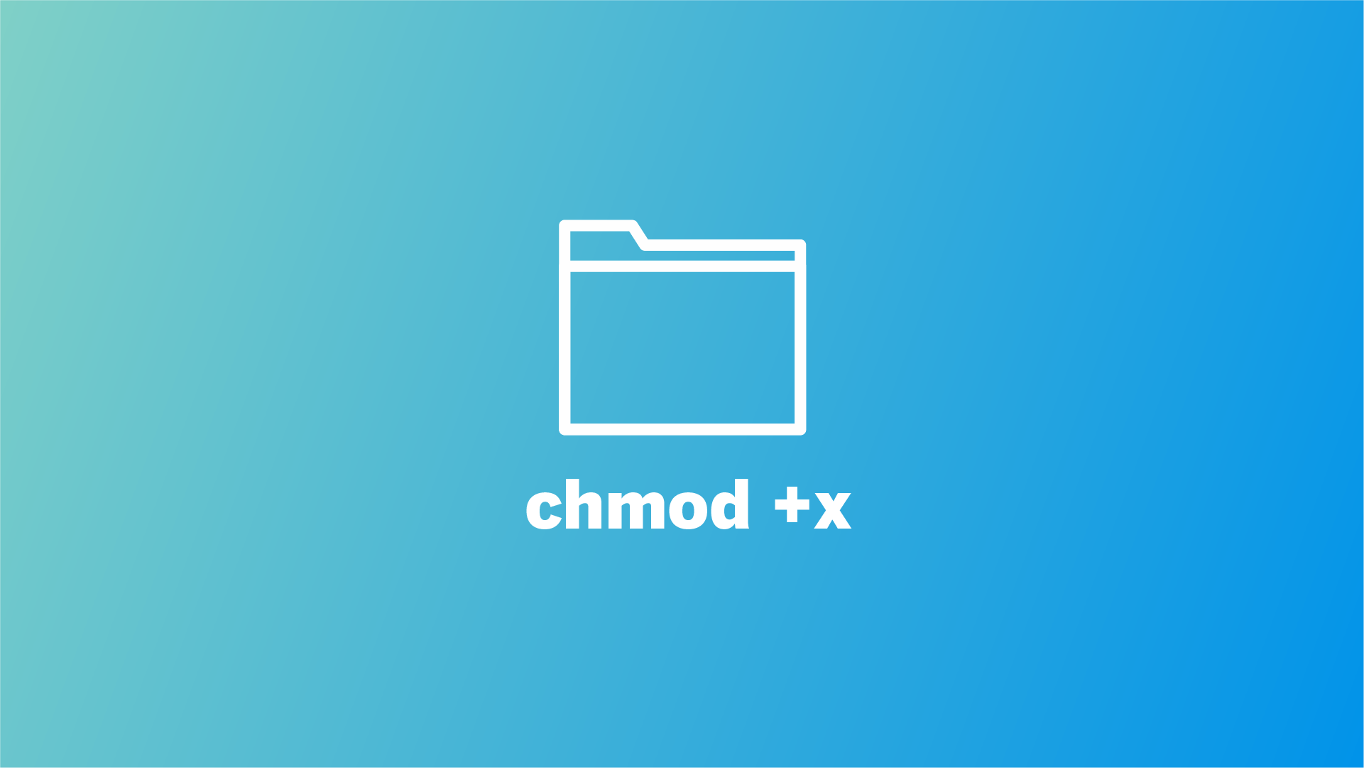 chmod +x command