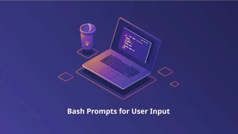 bash prompt for input