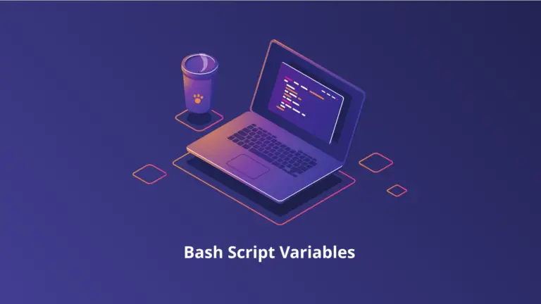 bash script variables